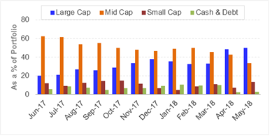 DSP BlackRock Small Cap Fund - Portfolio